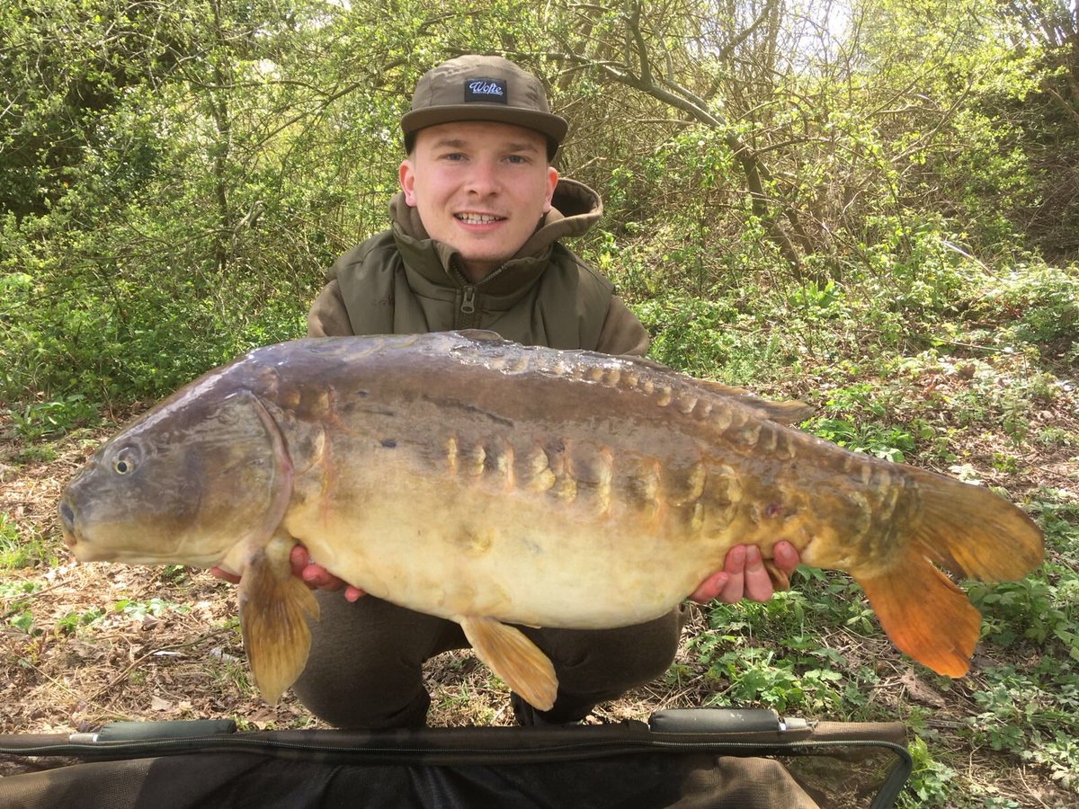 Leads_2_Go's tweet photo. Team member Toby with a haul of a session managing 19 fish. Smashed it bro 👏🏻#teamleads2go #leads2go #smashedit #hauling #carpfishing #fishing https://t.co/XxUh0e5rSI