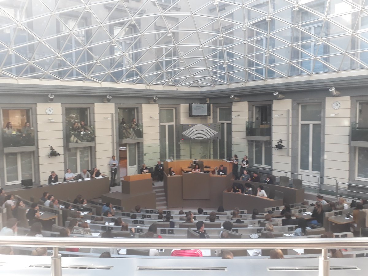 laladethomaz's tweet photo. Voting timeeeee 🙆‍♀️🙅‍♀️#plenum18 #Plenum18 #KRAS #VoteYes #globelink #vlaparl https://t.co/uETUpFsOAw