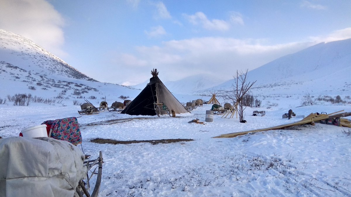 Yamalia... Migración con los nenets
#yamalia #nenets #siberia #adventure #guiamostussueños