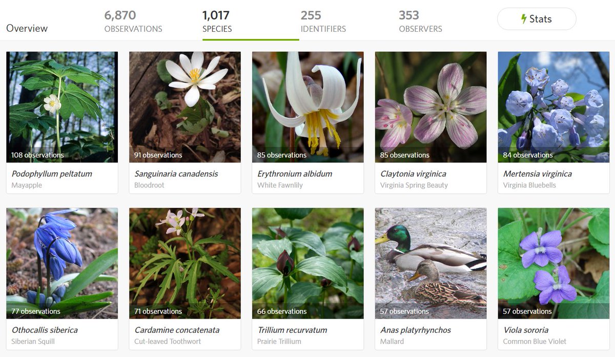 Last weekend 353 people got outdoors in the Chicago Wilderness region to catalog 6870 observations of over 1000 taxa (921 IDed to species so far) for the #CityNatureChallenge. Amazing work people! Check out our stats here: bit.ly/2JSfIZz