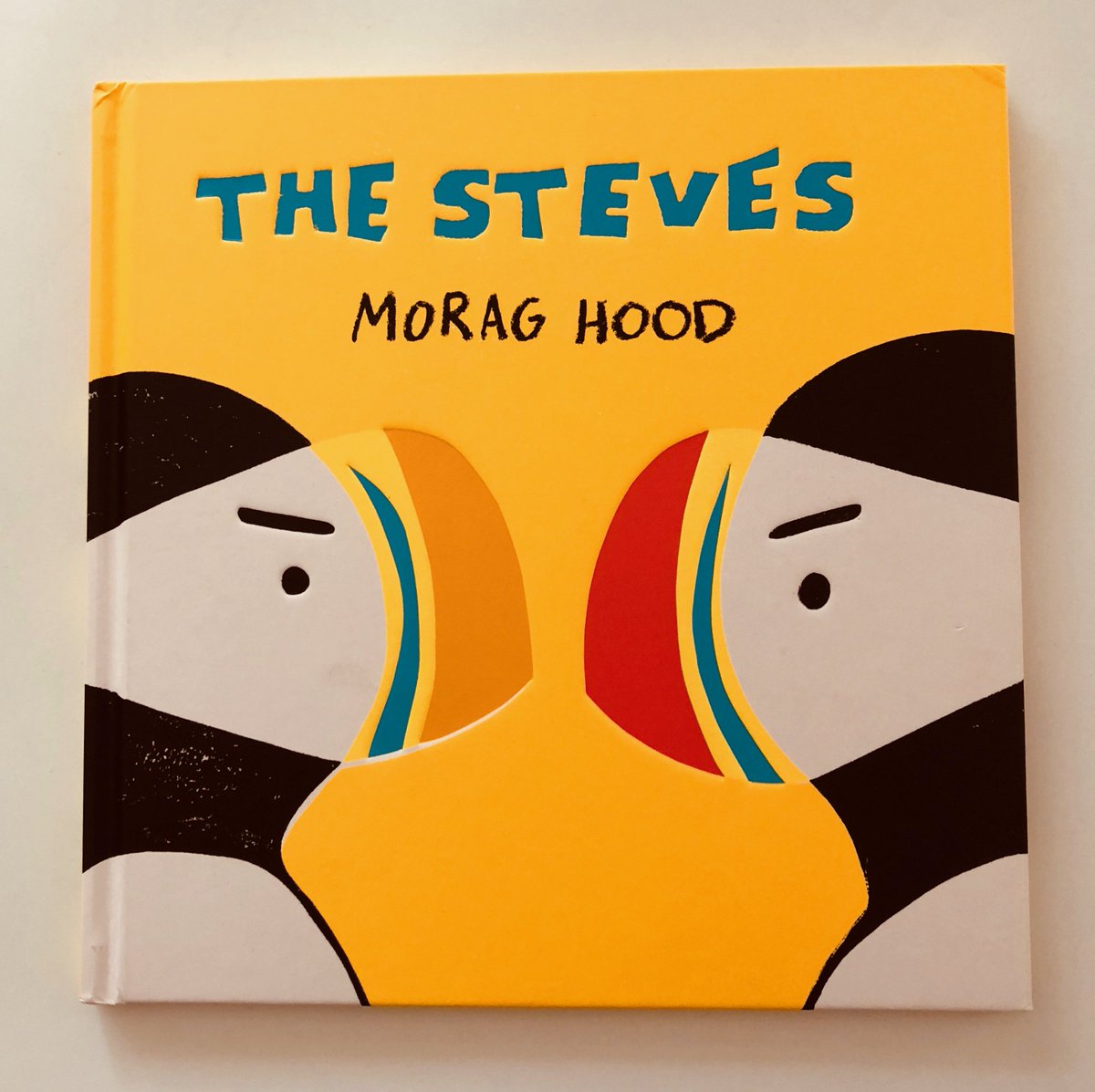 ivyslibrary's tweet photo. Mini Review: The Steves By @MoragHood : https://t.co/lpDZ8uEwOr The bright pages, the irreverent text &amp; the perfectly pitched illustrations all combine to make this #childrensbook a total winner. Our house has quickly descended in to SteveMania! @TwoHootsBooks #pbloggers #imsteve https://t.co/kyCMTXJwdr