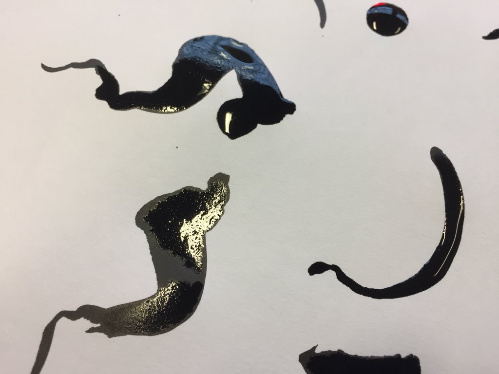 _DarylMarsh_'s tweet photo. #explainthistome Ink & brush prep for a digital character design workshop next week (will all make sense on the day). But the best marks only come when I PAINT WITH MY EYES SHUT! @25fpsstaffs @StaffsGamesVFX @Laurawestonart #drawingwiththerigjtsideofthesoddingbrain https://t.co/YrVMpMXcmL