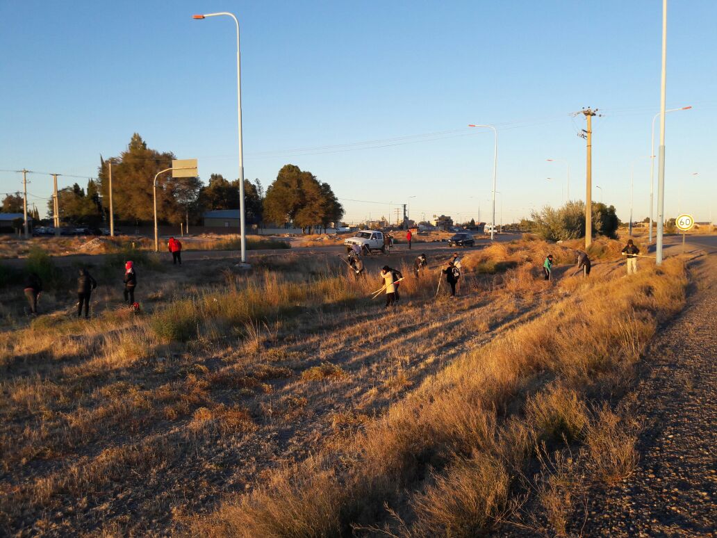TWMunicipalidad's tweet photo. #AhoraTrelew Se realizan trabajos de desmalezamiento y limpieza en Av. De los Libertadores - @TWAMaderna https://t.co/CTy5yOHRiq