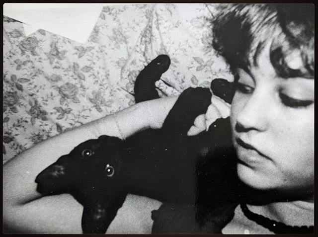 VCCable's tweet photo. My cat named Arbus
Hands down best cat ever had
(Sorry other cats) 
#haiku #selfie #victoriacableart #vccartphoto #kitten #blackcat #dianearbus #catbf #80s #blackandwhite #photography #catroomie https://t.co/9WZBnbXZu0 https://t.co/CIrabbTPdj