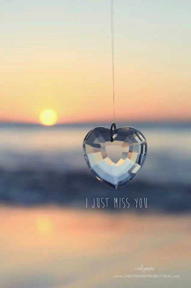 crazydaisy72's tweet photo. Can't believe it's been 6 months.. I miss you Babe💔😭 https://t.co/W9LGMhRvaR