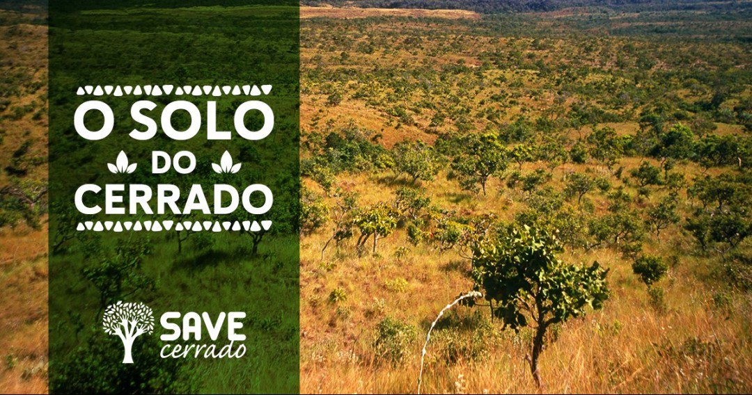 SaveCerrado's tweet photo. Cor, textura, porosidade... Você conhece o solo do Cerrado? Originado no períod... https://t.co/rKpzq0D6ds https://t.co/SK5X0PQWZY