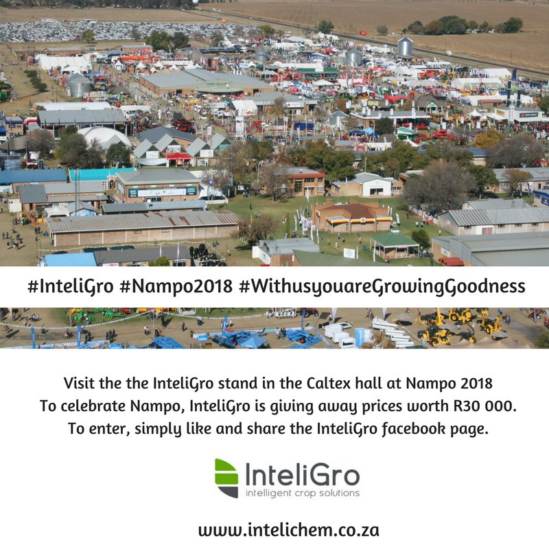 Stockfarmmag's tweet photo. #Nampo2018 is an important date on the #InteliGro calendar. Meet the InteliGro family at #Nampo2018 from 15-18 May 2018 in the Caltex hall at stand 18. Read more: https://t.co/lGa5FCwMHw Like & share the InteliGro facebook page to win #WithusyouareGrowingGoodness #WennPrys https://t.co/g50dHcjwYr
