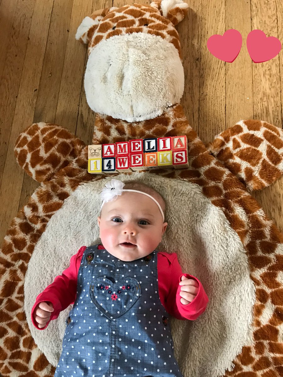Emski722's tweet photo. Just like that Amelia is 14 weeks! https://t.co/KEntCm7n7D