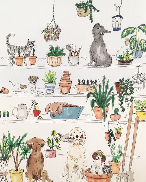 tabby_rabbit's tweet photo. It’s the Frome Independent this Sunday- I’m busy sewing and also have some new #botanical prints as it’s Somerset Garden Day coming up 🌱🌵🌼@morethanamarket #greenisgood #somerset https://t.co/STzFC79lyC