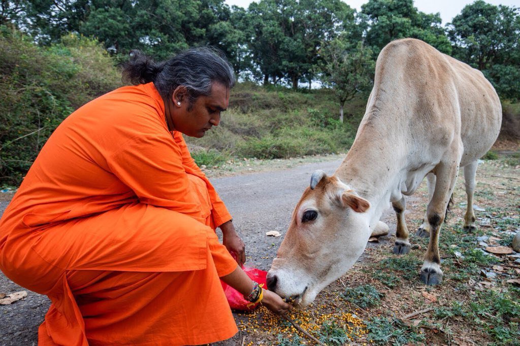 BhaktiMargaIT's tweet photo. 02.05.2018 TWEET di GURUJI: #Nutrendo una #mucca al bordo della strada https://t.co/d15u1tJG3K