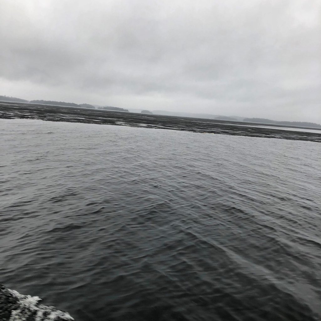 Still lots of ice at the top end of Tobins Island photo credit <a href="/treb1212/">tre</a> @leeplumbingmuskoka #barryleemarine #lakerosseau #lotsofice