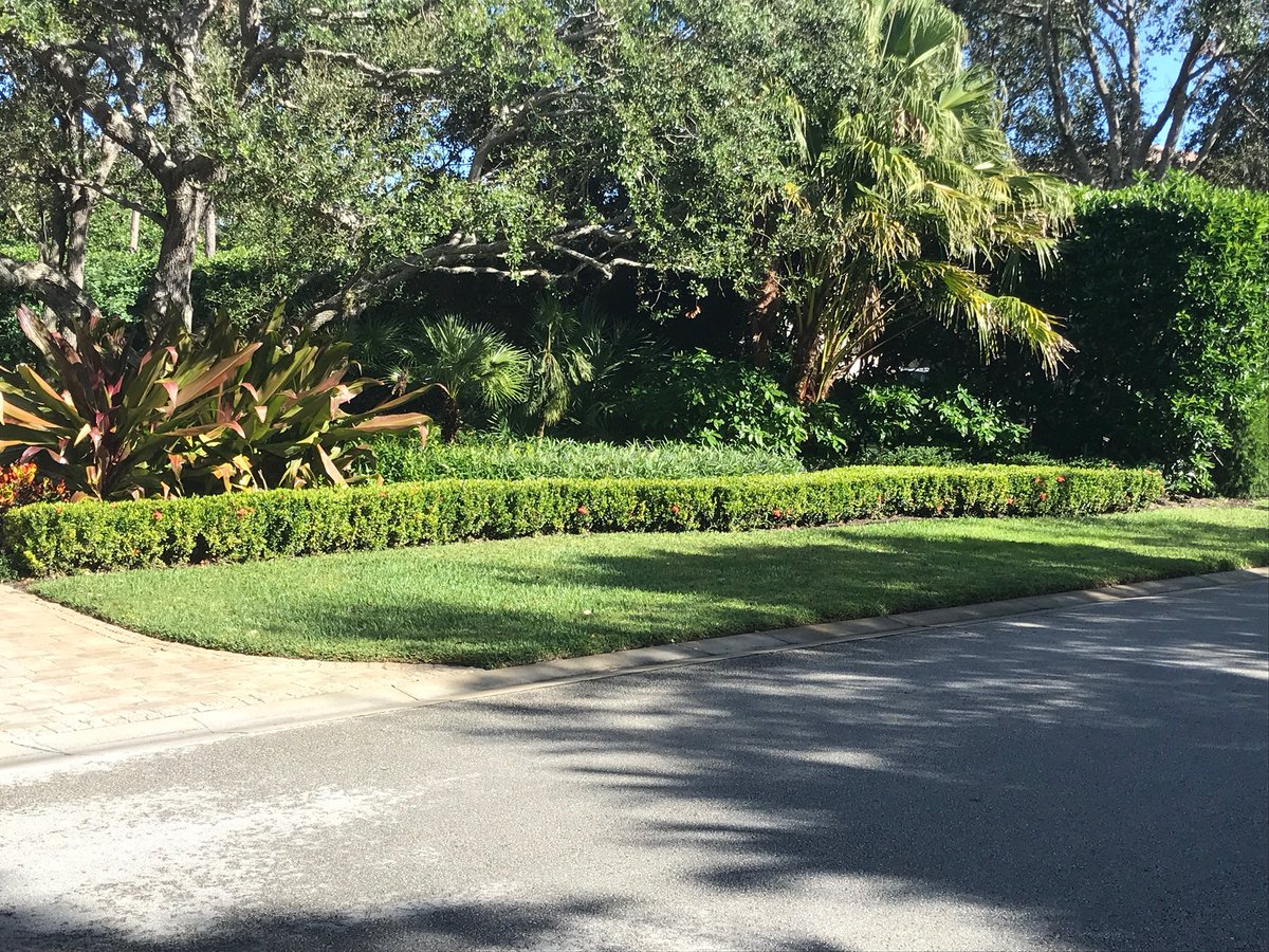 ChadBurkett3's tweet photo. GET YOUR IXORA’S IN GEAR with Winfield IronUp + Gravity PGS #winfieldpro #highpH #chloroticixora https://t.co/JtxdD0vRyV