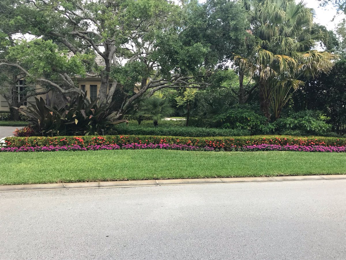 ChadBurkett3's tweet photo. GET YOUR IXORA’S IN GEAR with Winfield IronUp + Gravity PGS #winfieldpro #highpH #chloroticixora https://t.co/JtxdD0vRyV
