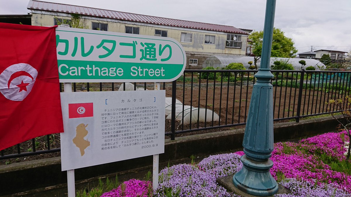 Elissa Tunisophile tweet media