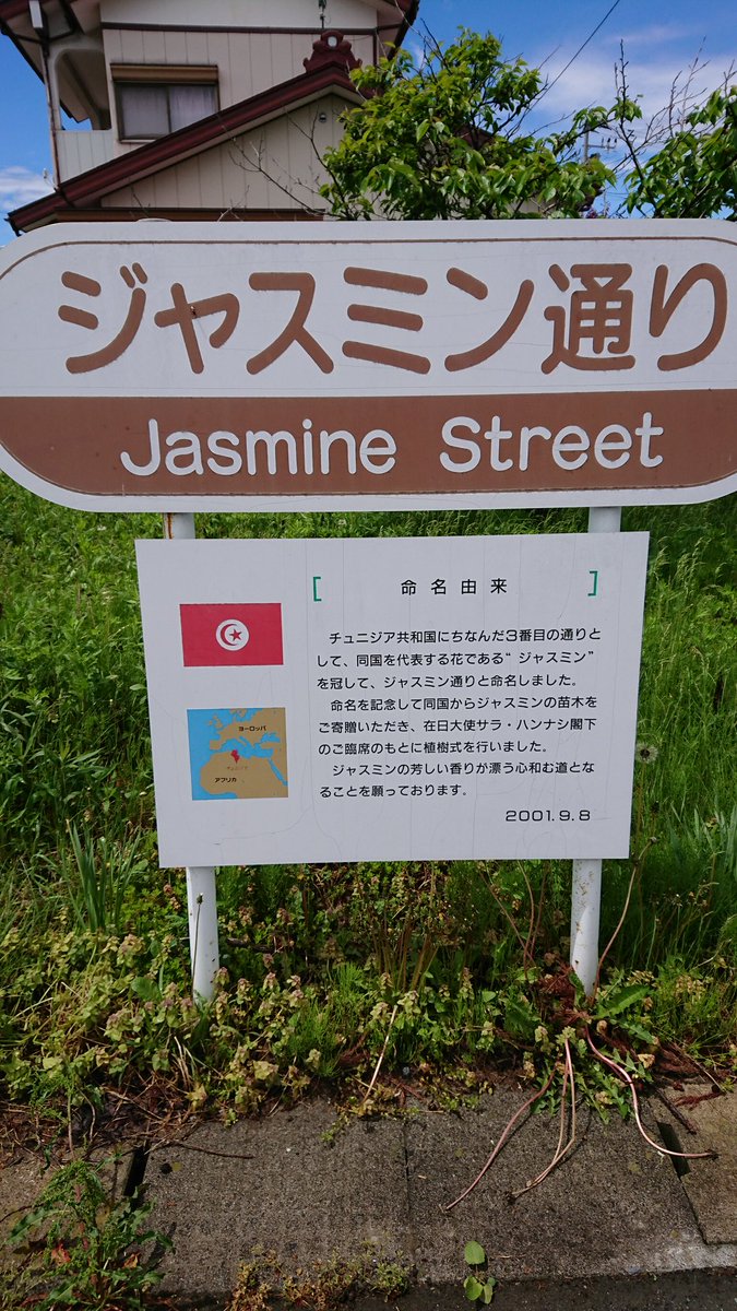 Elissa Tunisophile tweet media