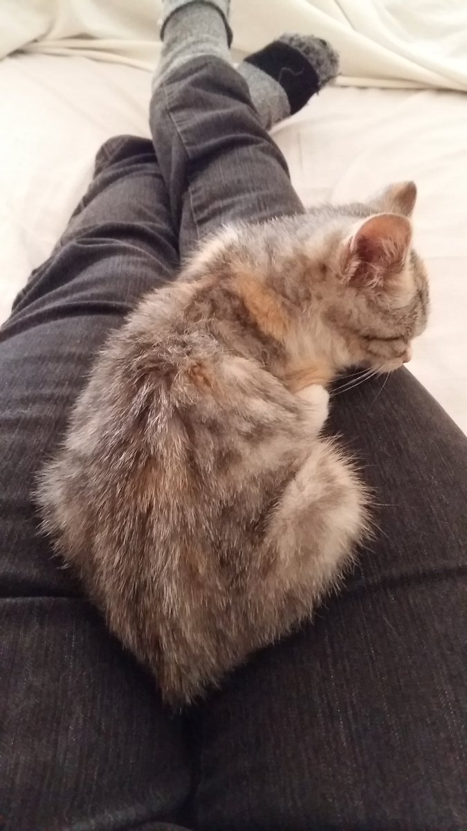 Tired out after morning playing