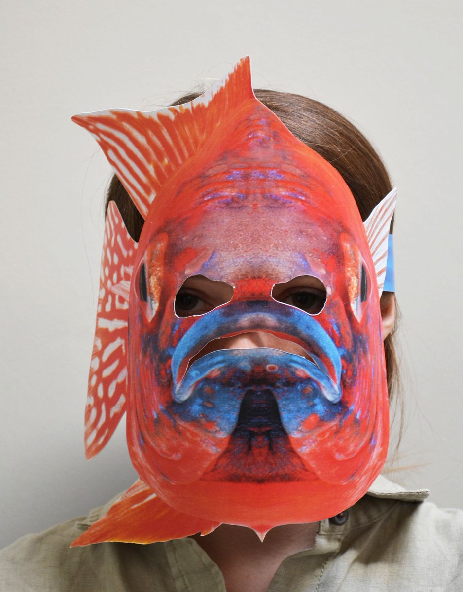 storm_cards's tweet photo. Here at #StormCards, we create a range of interesting and personalised mask and greetings card designs. 

From historical figures to wild animals, our designs always guarantee to be eye-catching!

Visit and like our Facebook page to find out more: https://t.co/Zt6LGT27LF https://t.co/MJi7TYMGFa
