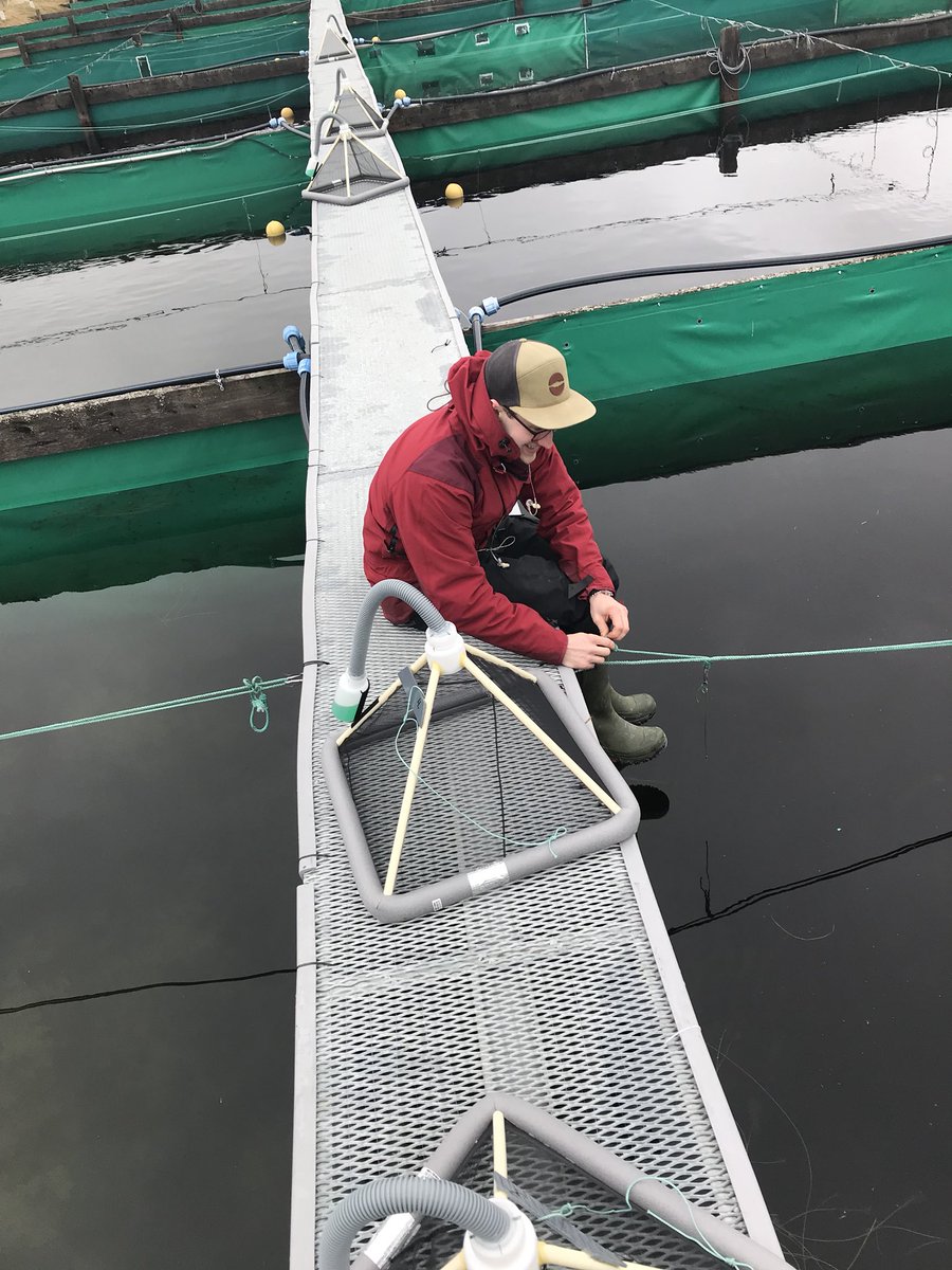 shunkoifish's tweet photo. Ice-off at EXEF, field seasons starts off with brand new emergence traps, hope they work! @Bystromlab https://t.co/MSJe4uwaqF