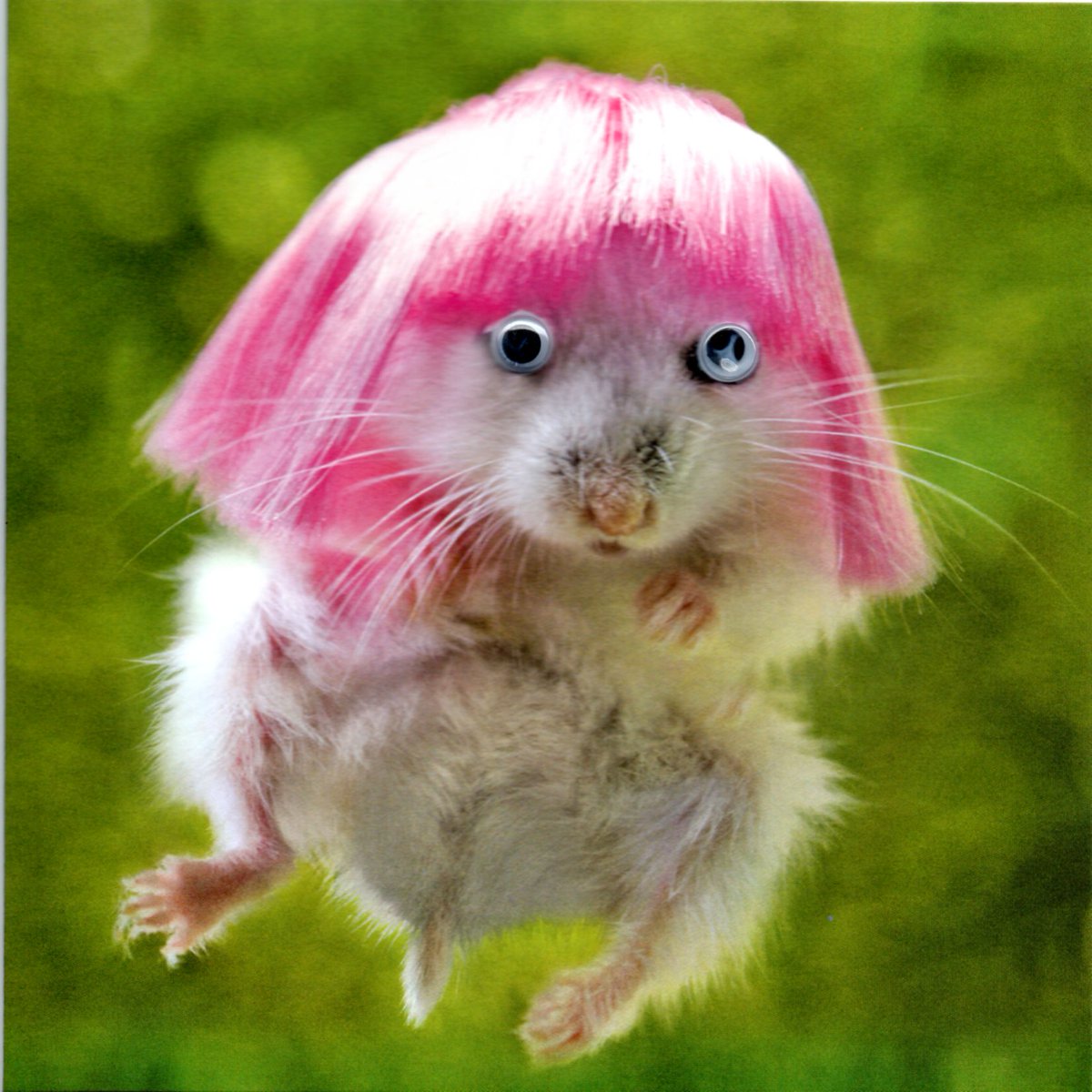 Funny Greeting cards that will make you smile tsgreetingscards.co.uk