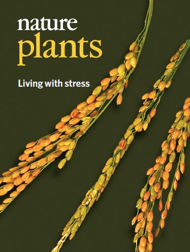 Nature Plants tweet media