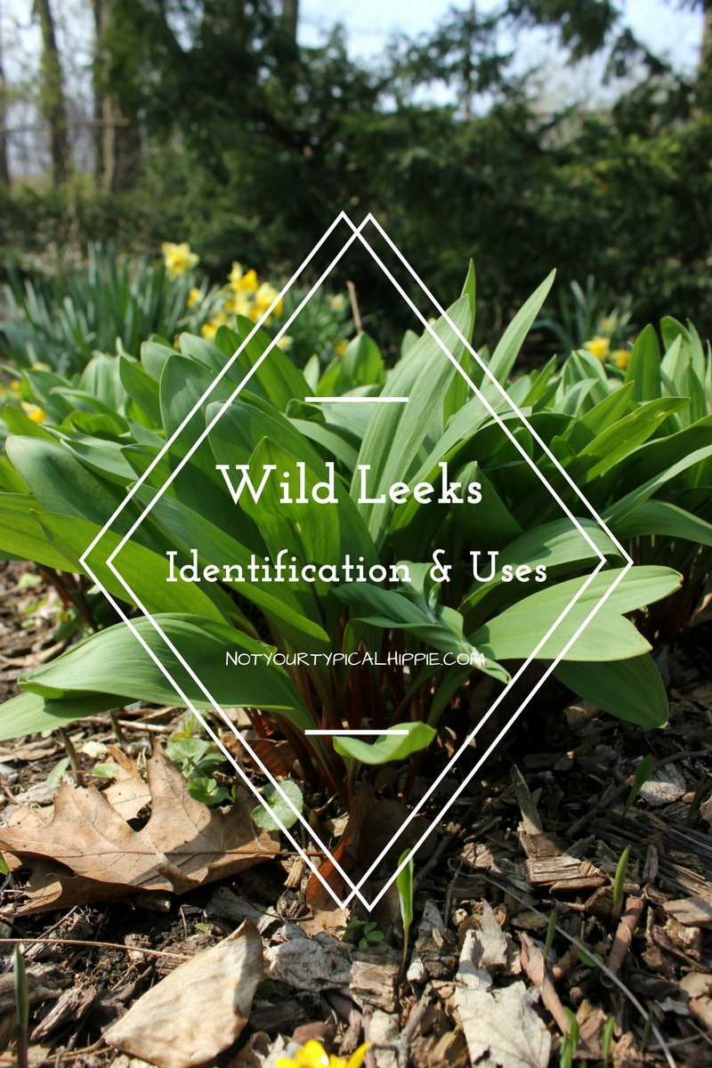 (History, Identification, &amp; Uses of Ramps)