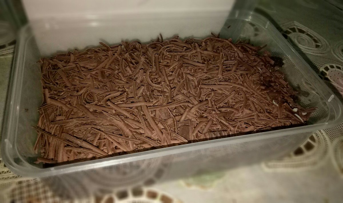 Ini dia penampakan dari #BrowNia keju dan coklatnya tumpaaaah😋😋
Siapa mau?
Bisa langsung chat ke WA 082225631684
Atau Line diiansn