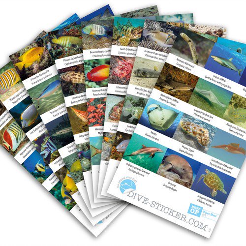 rateyourdive's tweet photo. πΈ Photo-Contest πΈ
Monday after next we will present the dive region Egypt. πͺπ¬
Send us your favourite underwater pic from Egypt to: service@rateyourdive.com. The best get mentioned in our article and win an amazing #divesticker package π by: https://t.co/ZivKJubxyH https://t.co/N1Fe6THgr4