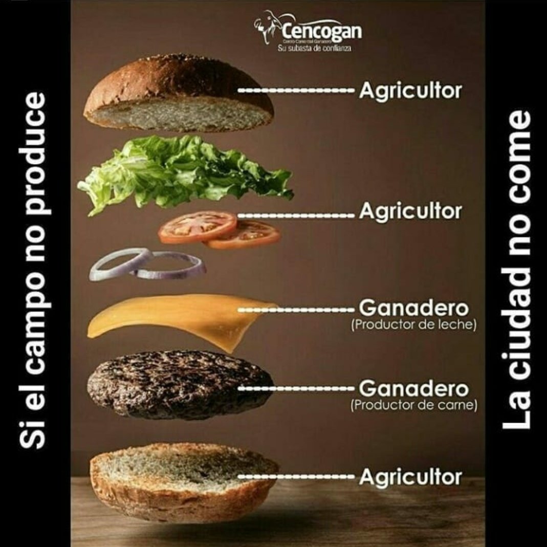 fernandosolis89's tweet photo. https://t.co/7GQdig4wW6