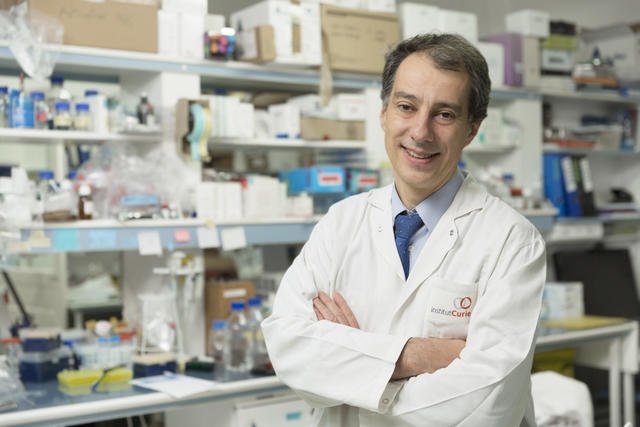 institut_curie's tweet photo. En direct du congrès sur les biomarqueurs circulants #ISMRC :
le Pr Jean-Yves Pierga @institut_curie fait le point sur #CTC et #ADNt dans la prise en charge des #Cancers du sein ► https://t.co/Zi05eXibnK https://t.co/Yovs2VzAby