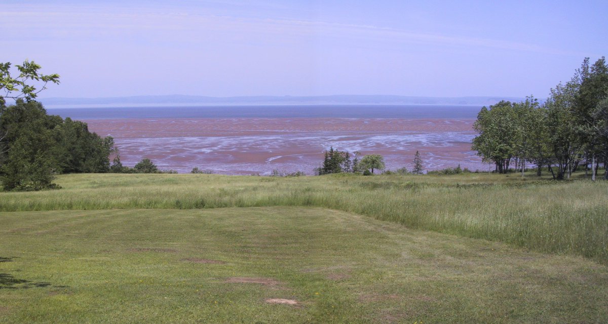 The Rainy Cove (loc 7) shoal system consists of a muddier channel-like part closer to shore & a sandier distant part. The muddy channel drains off last during ebb and then fills fast! right after low tide, giving only a 1.5 hr time window for visiting the shoal  #MinasBasinTidal