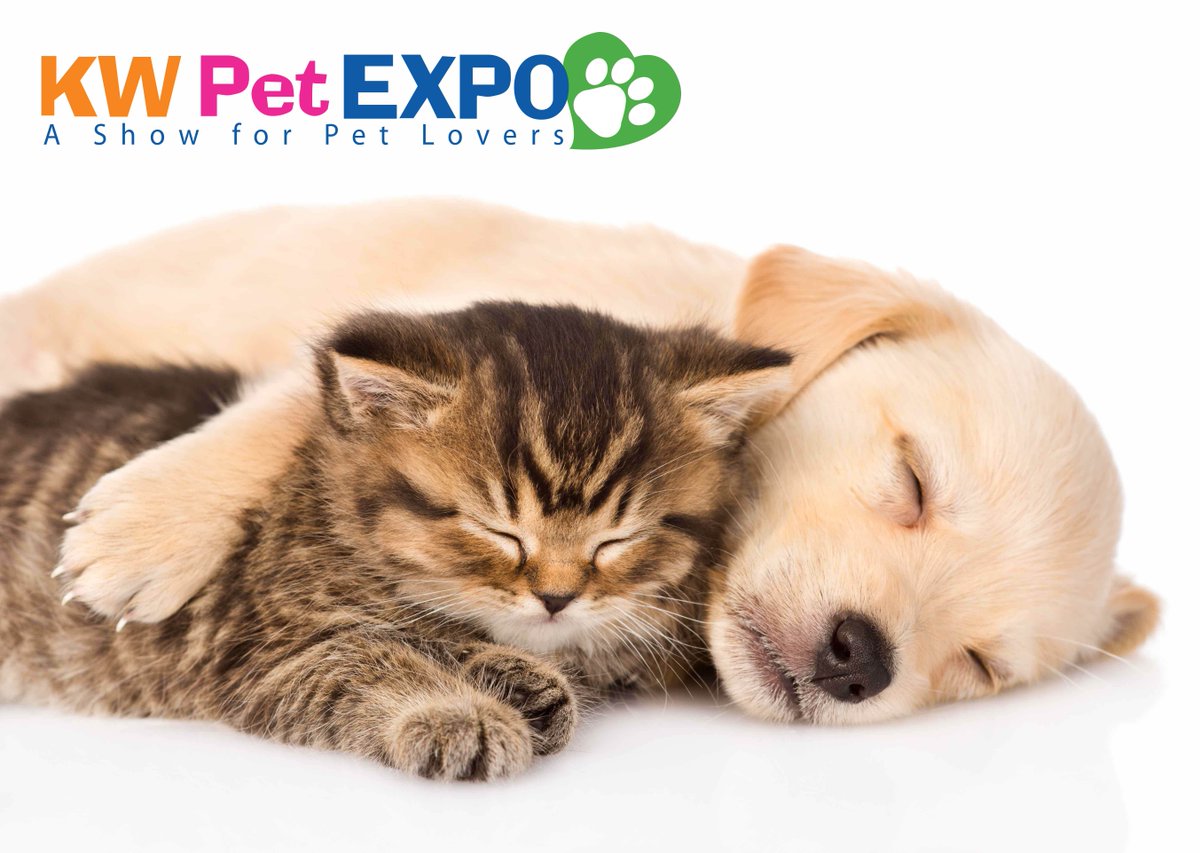 Get your sleep! There is only one more
Sleep until the KW PET EXPO! 🎊🎈🎉

#kwpetexpo #onemoresleep #thingstodoinkw #bringyourpet #kwawesome #eventastic
