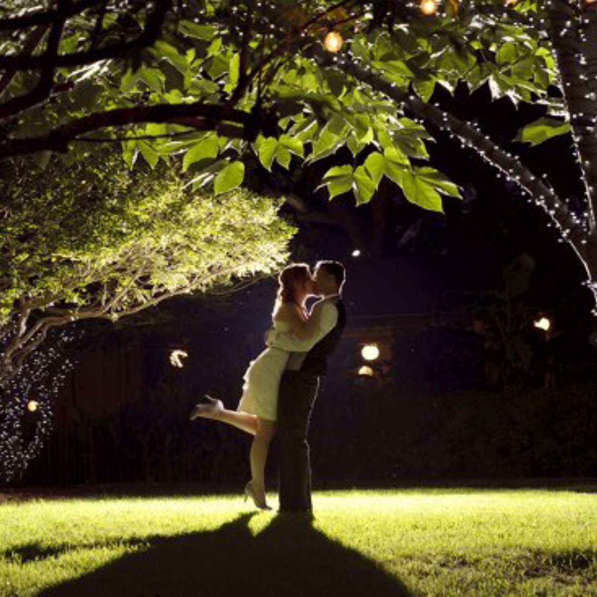 HummingbirdATX's tweet image. Far from ordinary, close to dreams come true.