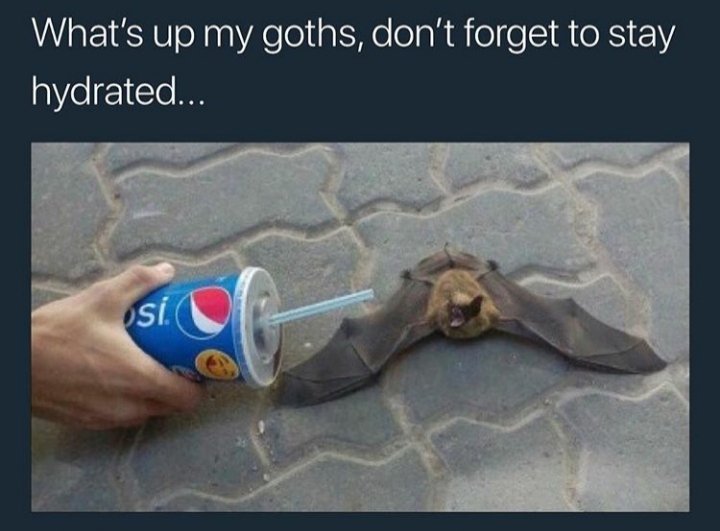 𝖎𝖈𝖊𝖇𝖊𝖗𝖌 tweet media