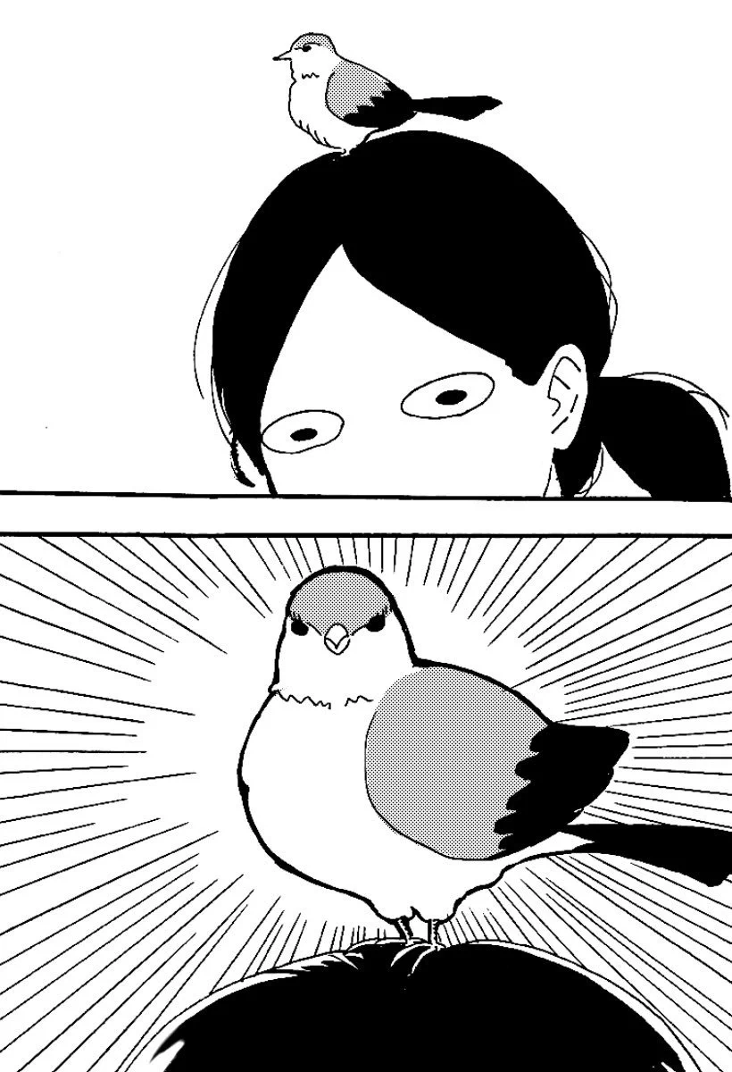 とんでもないドジっ子ｗｗｗ　頭に止まった鳥さんが見せた動きがヤバいwww