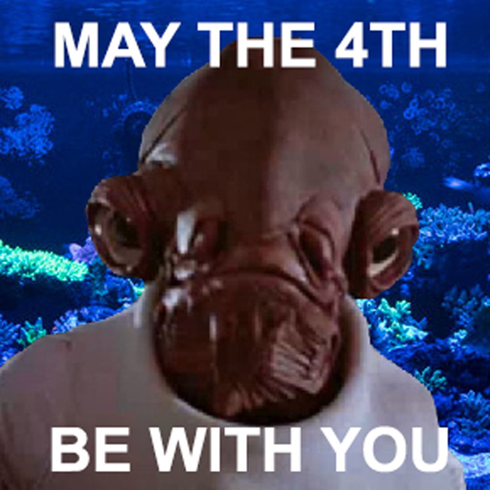 Happy Star Wars Day, Pod Fans!

#MayThe4thBeWithYou #StarWarsDay

copepods.com