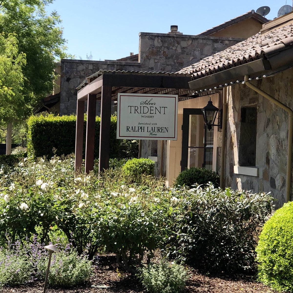 MsPullThatCork's tweet photo. 2017 Silver Trident Napa Valley Sauvignon Blanc &amp; herbed goat cheese! It’s a delicious pairing we enjoyed on Tuesday as part of the tasting experience at the Silver Trident Tasting Home in Yountville. @SilverTridents #sauvblancday #sauvignonblanc #yountville #napavalley #wine https://t.co/9D1RbKcJLv