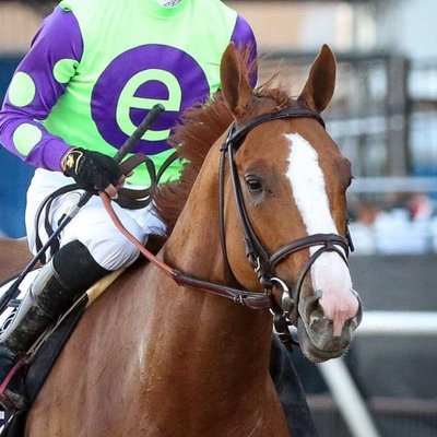 I am still doing my #KentuckyDerby research but i really like the #6 <a href="/GoodMagicColt/">Good Magic</a> also 5,7,11,12 in my exacta and trifecta boxes.