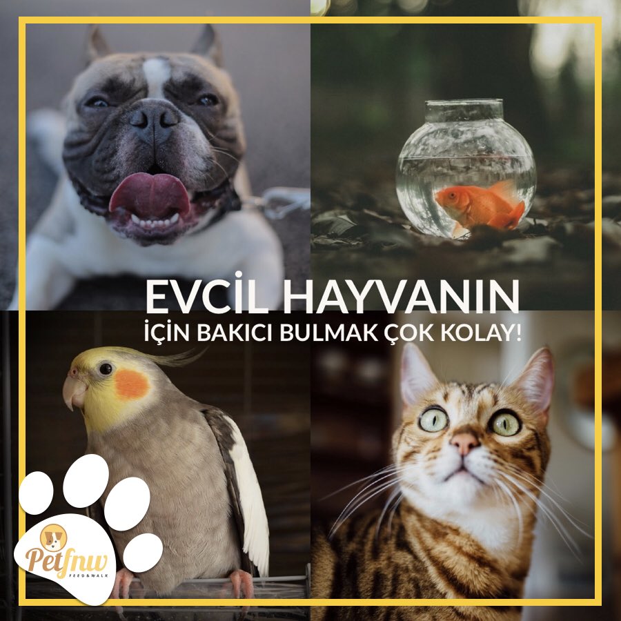 Evcil hayvan sahipleri düzenli olarak ya da ihtiyaç hallerinde evcil hayvanlarıyla ilgilenecek kişilere ihtiyaç duymaktadır.🐶petfnw.com’dan güvenilir ve deneyimleri bakıcıları kolaylıkla bulabilir ve hemen rezervasyon yaptırabilirsiniz!🗓