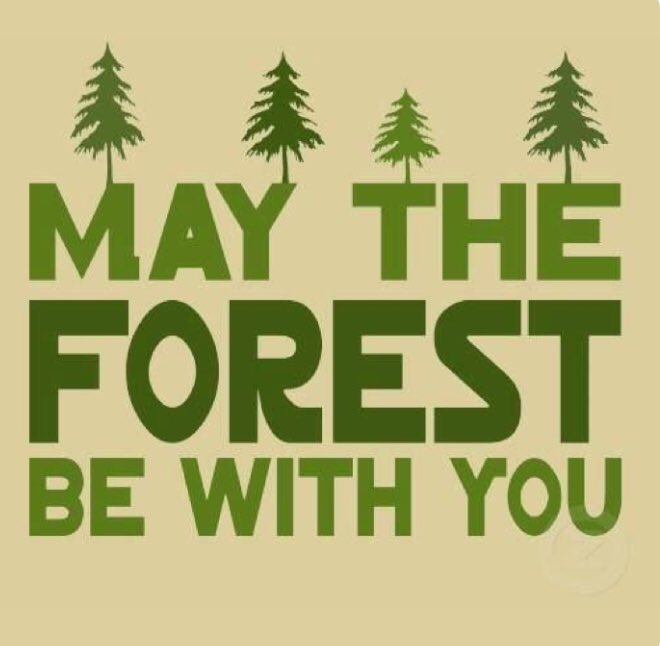 JohnMuirProject's tweet photo. May The Forest Be With You! 🌲#FF #MayTheForestBeWithYou 
@dicapriofdn 
@WildernessWatch @Defenders @CenterForBioDiv @DogwoodAlliance @Earthjustice @WildWestInst @FORESTSFOREVER @foe_us @wildearthguard https://t.co/GKpamlfuCu