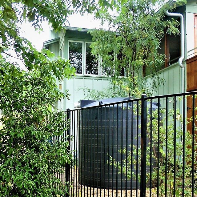 rainharvest's tweet photo. Things turn out green with rainwater collection on a the scene! #watercache #green #onthescene #rainwaterharvesting #waterstorage #urbangardening #urbanpermaculture #prepper #urbanplanning #stormwatermanagement #greenarchitecture #waterblog #waternerd #… https://t.co/yvqFn9RYGj https://t.co/p7X3chub4u