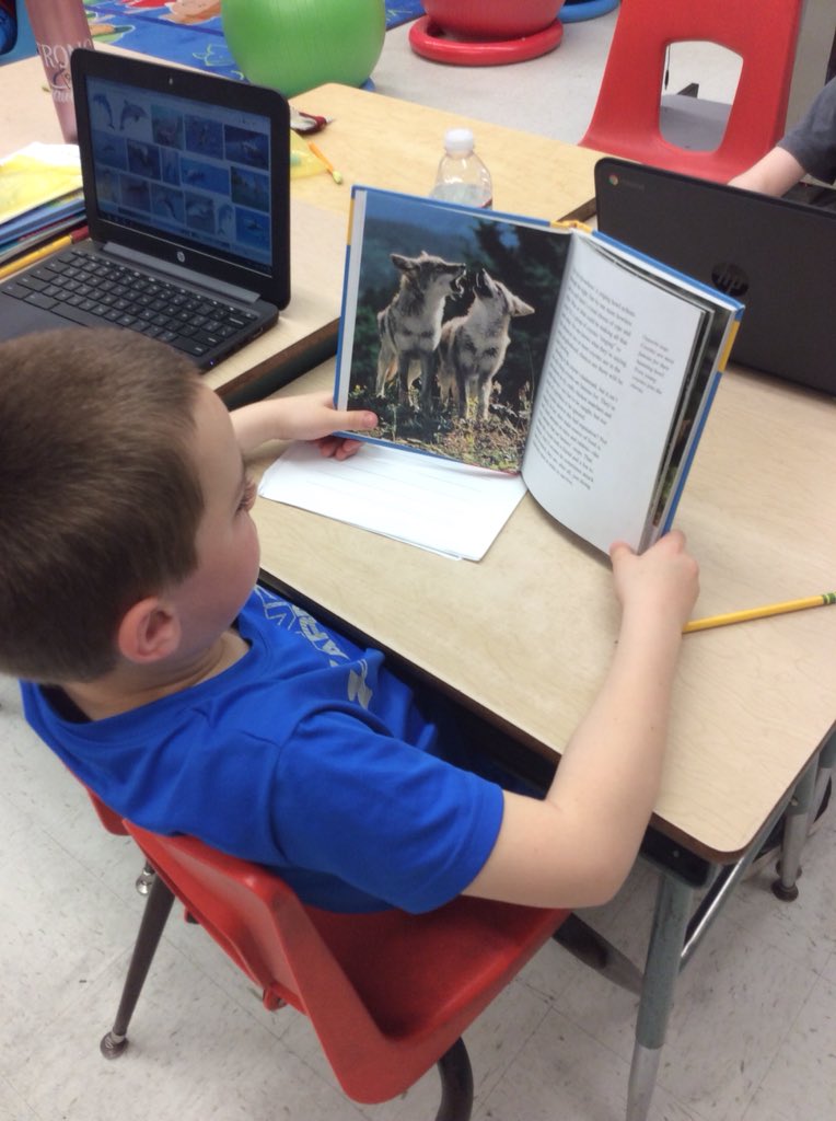 Room8IsGreat1's tweet photo. In these pictures we are doing our animal projects on Google slides. ~ Ahrianna 🐼🦉🐶🐰#blendedlearning @wednovans https://t.co/dwm6iPUE7r