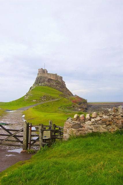 Lady of the Castles tweet media