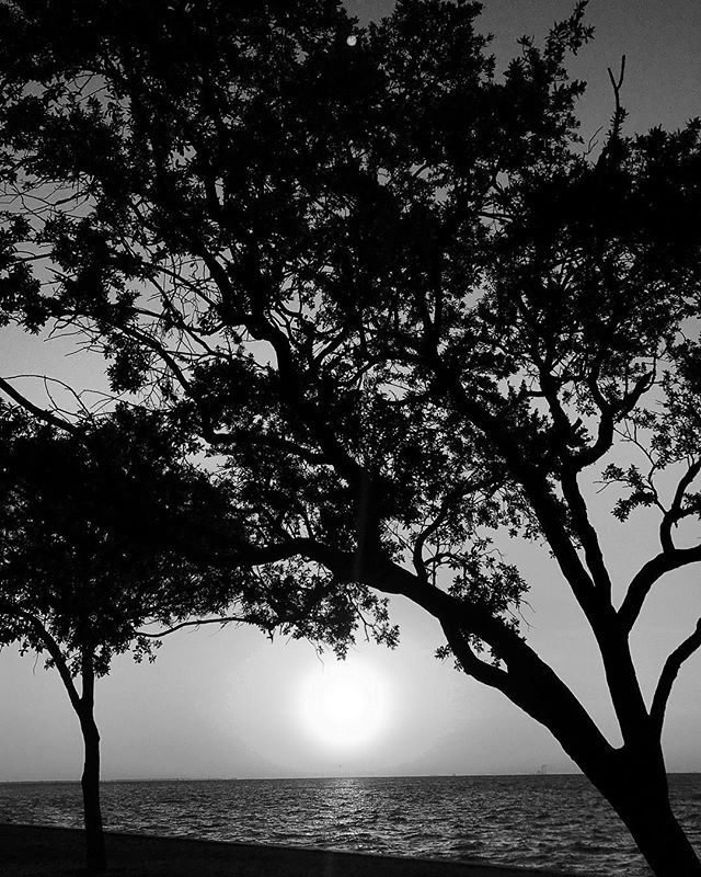 LiveRitually's tweet photo. Sunrise meditation and yoga β€οΈππΌ I live in paradise #stpete .
.
.
#ritually #spirituality #healthylifestyle #sunriseoftheday #vinoypark #tampa #florida #igersstpete #stpetian #meditation #yogainspiration #yogalife #breathein https://t.co/t0lmViSb2D