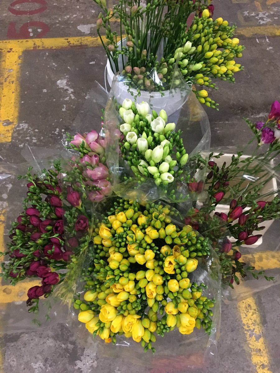 Shipping flowers for the IPM show in Beijing next week!