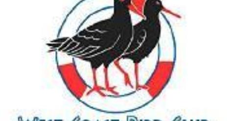 WestCoastRSA's tweet photo. #Vredenberg West Coast Bird Club https://t.co/8K6HQSyBOG