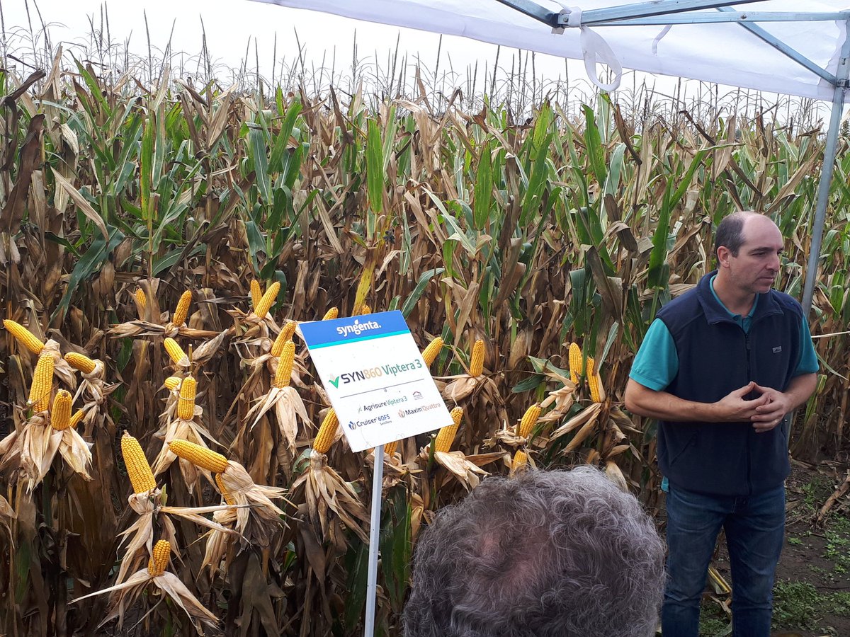 eugenia_bai's tweet photo. Jornada a Campo #Conae #SYN860Vip3 @Syngenta_ar https://t.co/yu1MC7KEa0