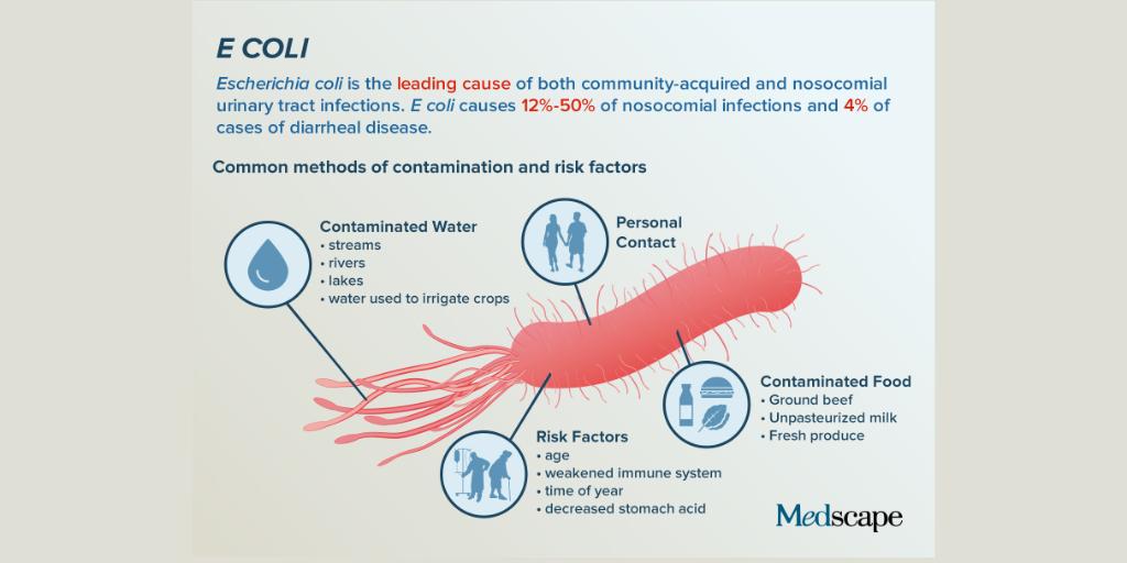 La bacteria e coli se contagia de persona a persona
