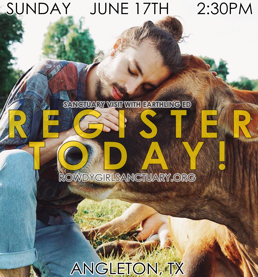 Houston/Angleton! Don't forget to register at: rowdygirlsanctuary.org/earthling-ed-e…
Have fun in the sun with Ed and the animals at Rowdy Girl Sanctuary. There will be food, music, and more. Hope to see you there! #earthlinged #animalsanctuary #animalrights #vegan #veganism #vegans #texas