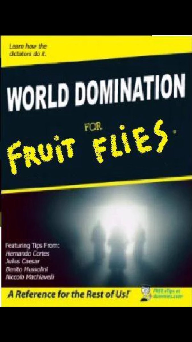 FearlesFruitfly's tweet image. And if we could read we would all go in... I think it is time for a new species to take over the world domination from the humans. Chapter 3.4: how to destroy a fruitfly trap. #fruitfly #worlddomimation #humansaredumb