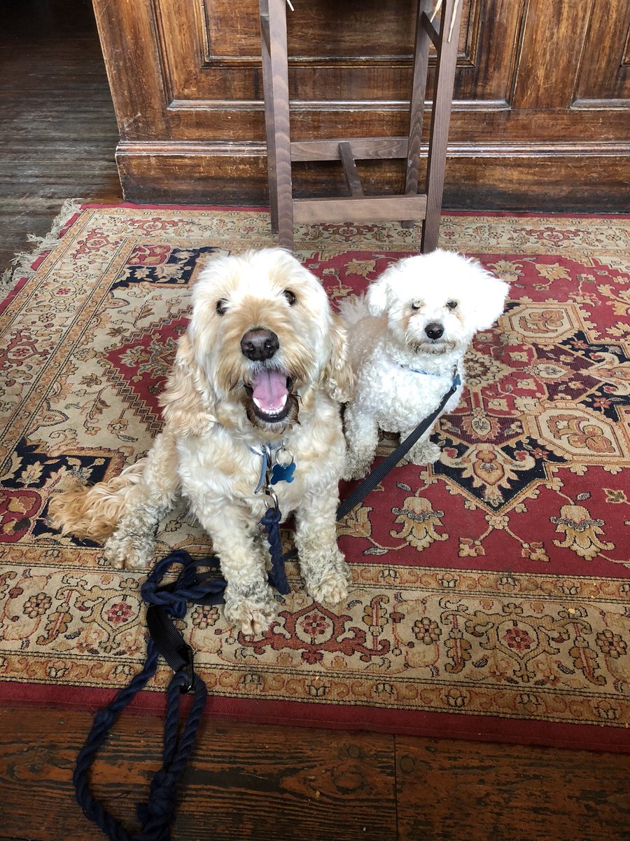 Ted Dale tweet media